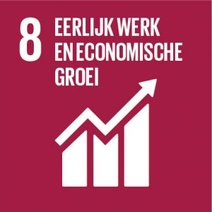 SDG 8 - Eerlijk werk en economische groei